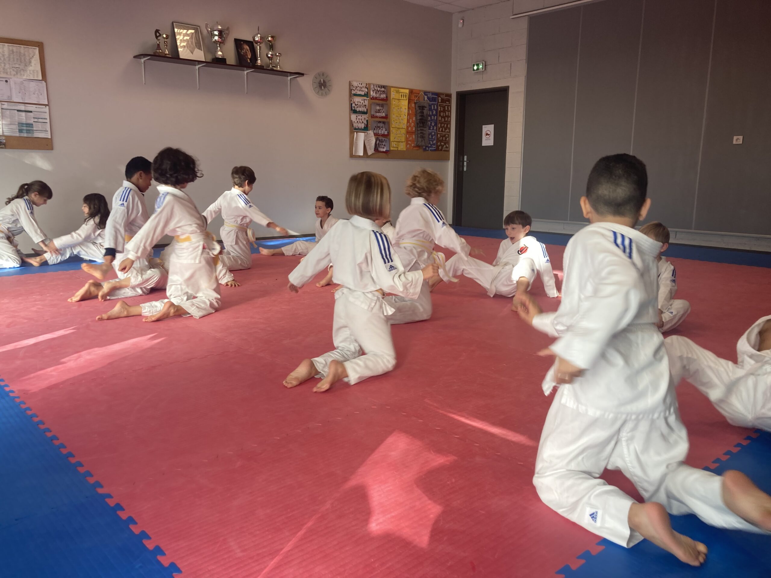 40_judo_poussin