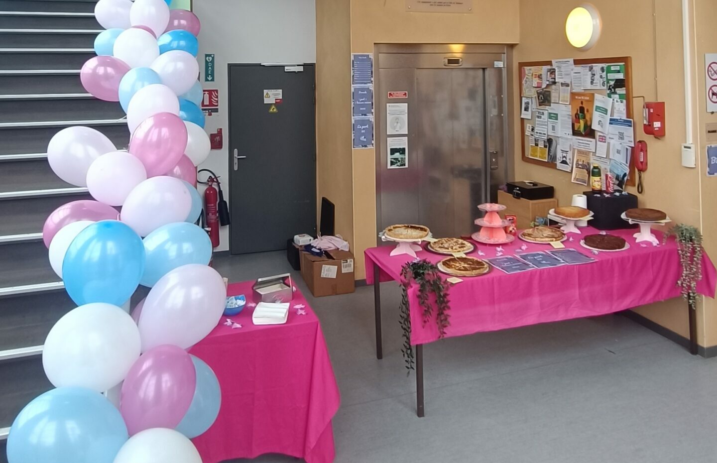 La Journée internationale des droits des femmes 